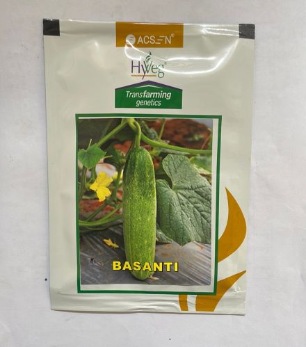 Us Agriseeds Natural Cucumber Basanti Seeds, Color : Green