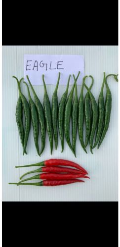 ENGEL Sun Drying Natural Eagle-chilli, Packaging Size : 10GM 12%