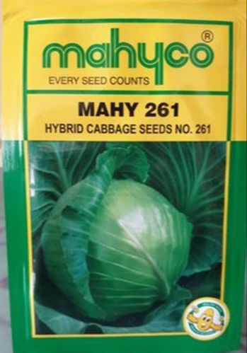 MAHYC0 Natural Mahyco Mahy 261 Hybrid Cabbage Seeds, Color : Green