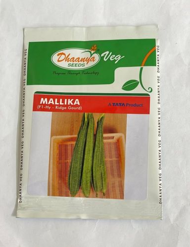 Smooth Ridgegourd Dhaanya Mallika Seeds Cooked, Instant, Preserved