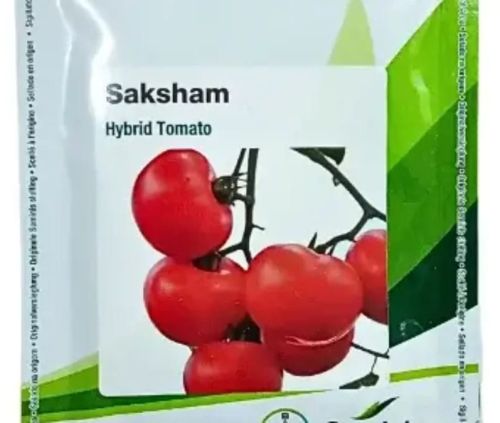 Natural Seminis Saksham Hybrid Tomato Seed, Color : Red