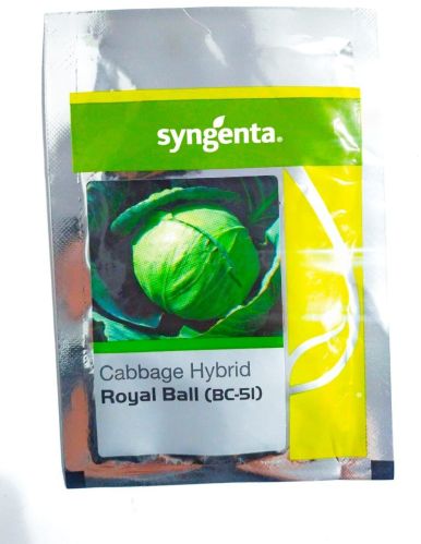 Syngenta Cabbage Royal Ball BC 51, Packaging Size : 10GM