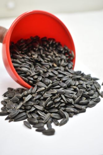 Black Sunflower Seeds, Packaging Type : Bag