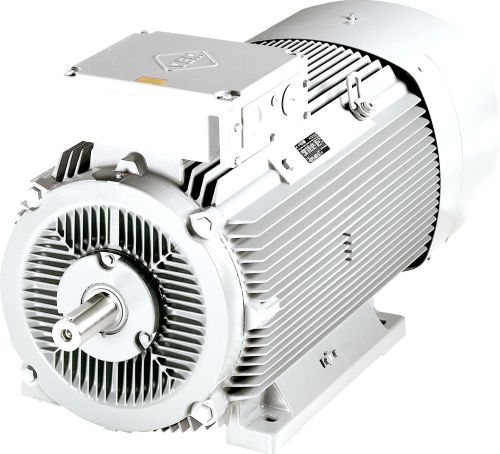 Electric Motors, Packaging Type : Grey for Industrial Use