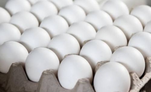 Broiler Egg, Color : White Fresh For Household, Mess, Restaurant