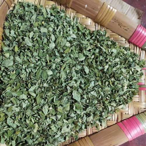 Natural Dry Moringa Leaves, Color : Green, Form : 100%