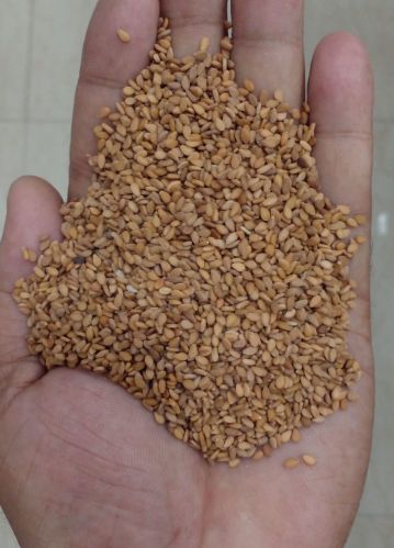 Brown Sesame Seeds 9%, Packaging Size : 5-25kg