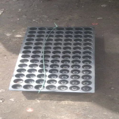 Polished Plastic Seedling Tray, Color : Grey Standard For Plantation