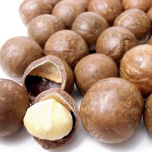 Macadamia Nuts, Color : Brown, Packaging Type : Plastic Packet