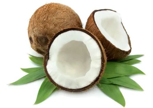 Semi Husked Hard Natural Raw Coconut, Color : Brown, Form : Solid