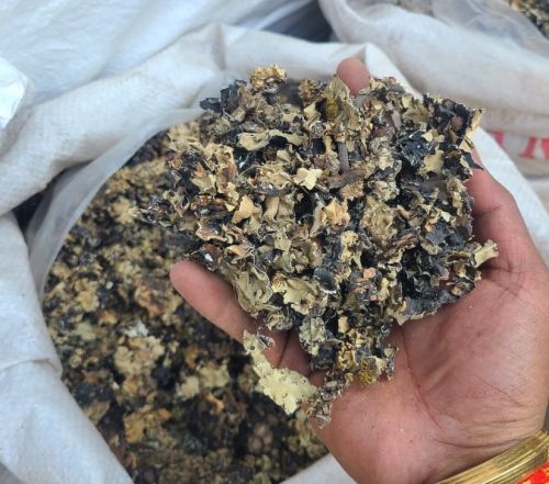 Natural Black Stone Flower, Packaging Type : Plastic Packet