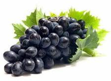 A Grade SSN Black Grapes, Packaging Type : Carton Box