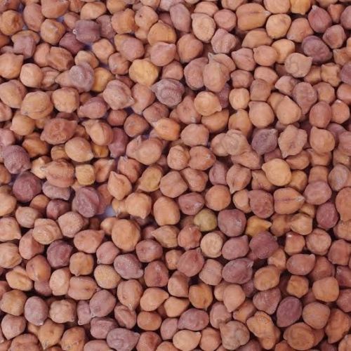 Organic Desi Chana, Color : Brown, Packaging Size : 5-25kg