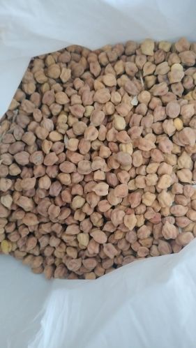 Organic desi chana, Packaging Type : Brown