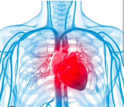 Heart Surgery Service