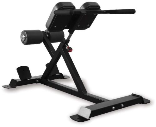 Polished Mild Steel Back Extension Machine for Gym