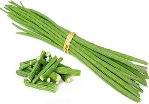 Farmer Grade Organic Moringa Drum Stick, Color : Green