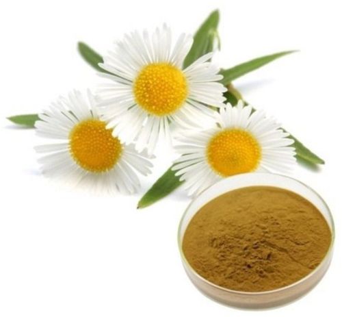 Chamomile Extract, Purity : 100%, Form : Powder