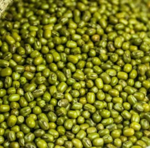 Hard Natural Green Gram Moong Beans 7 Mm, 9 Mm