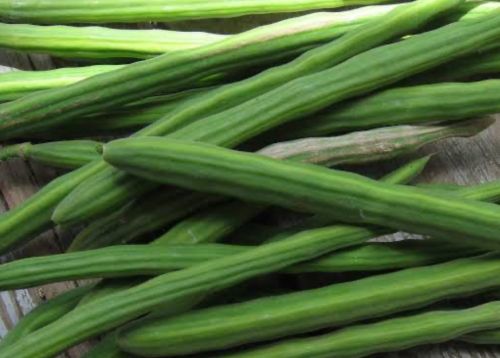 Organic Fresh Green Drumstick, Packaging Size : 5-25kg for Cooking