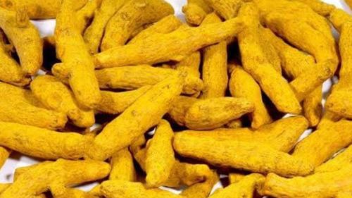 Organic Raw Turmeric Finger, Color : Yellow