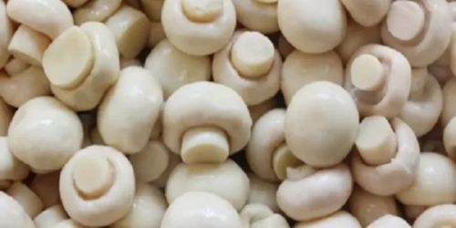 Button Mushroom Graded Sizes