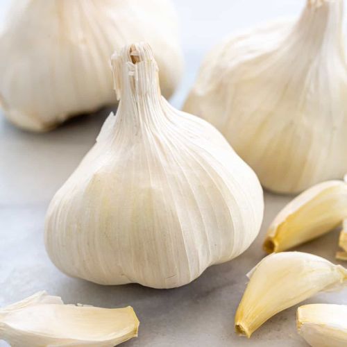 White Fresh Garlic