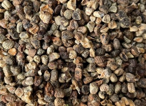 Cardamom Seeds, Color : Brown