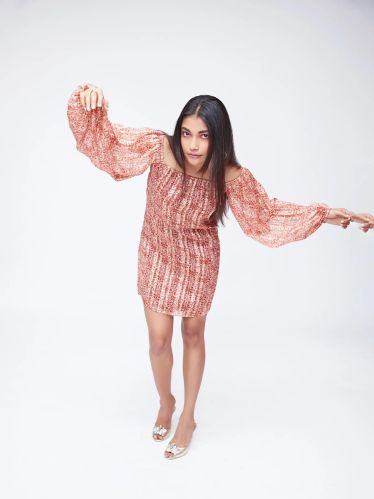 Women The Terracota Dress