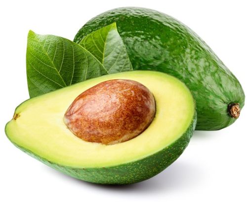 Fresh avocado, Shape : Oval, Packaging Type : Green