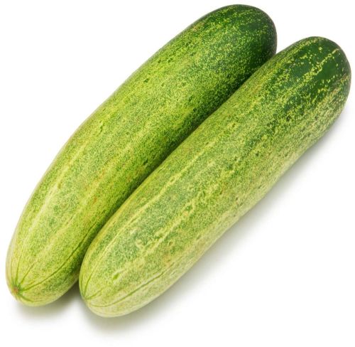 Fresh cucumber, Cultivation Type : Organic Green