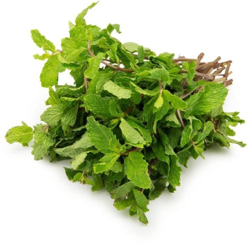 Organic Fresh Mint Leaves, Packaging Size : 20-25kg for Cooking