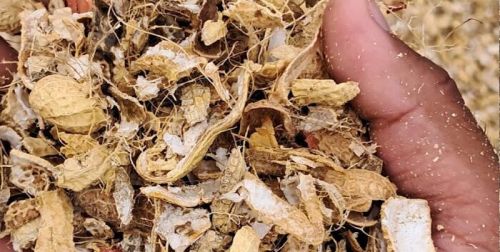 Groundnut Shell, Packaging Type : Biodegradable Bag