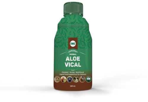 500 Ml Herbal Aloe Vical Juice, Packaging Type : Bottle