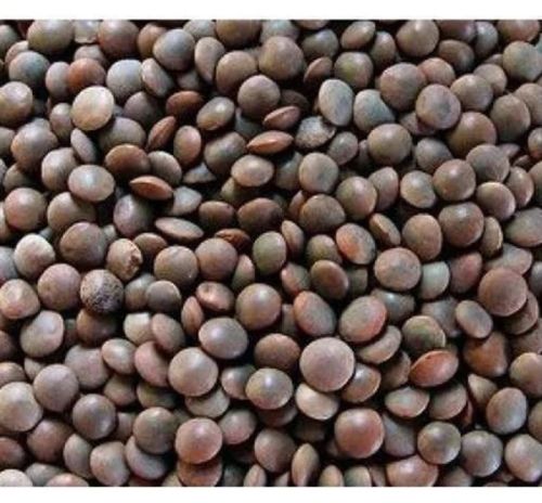 Siddab Whole Lentil / Saabut Dal 1kg