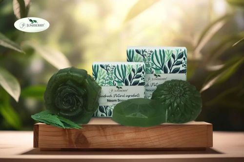 NEEM & TULSI SOAP