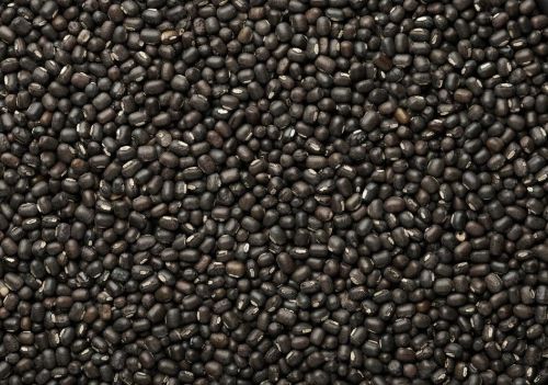 Black Gram for Cooking