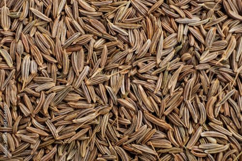 Cumin seeds, Type :Natural