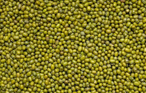 Mung Bean (Green Moong)