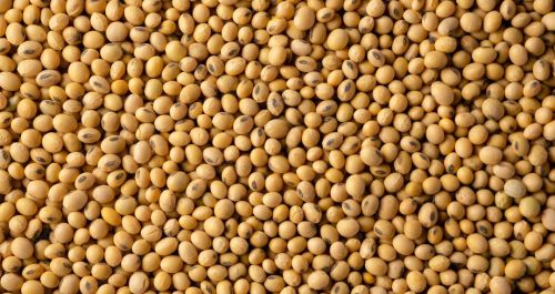 Soybeans