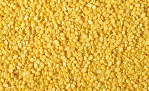 Yellow Moong Dal, Speciality : Mild, Nutty Flavor