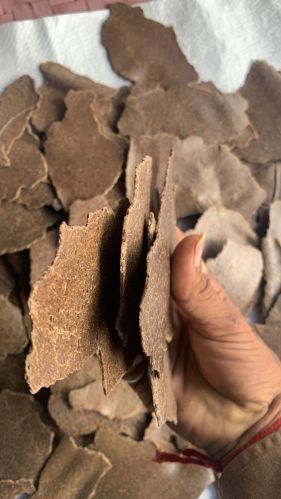 Groundnut oil cake, Packaging Size : 50 Kg, Packaging Type : PP Bag