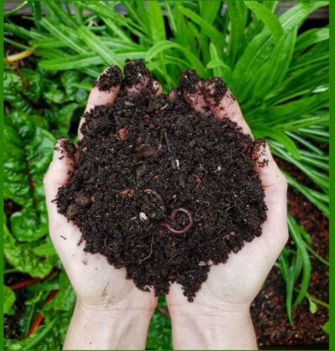 Organic Vermicompost Fertilizer 0-10%, Purity : 99%