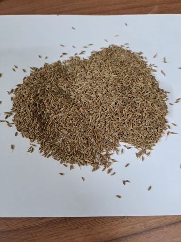 Natural cumin seeds, Packaging Size : 10Kg, 20Kg, 25Kg, 50Kg 12%