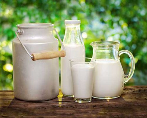 Buffalo Milk, Color : White for Human Consumption