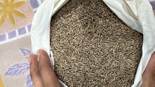 Jeera, Brand Name : SVP ENTERPRISE