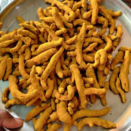 SBL ENTERPRISES Organic Curcuma Longa Turmeric Finger