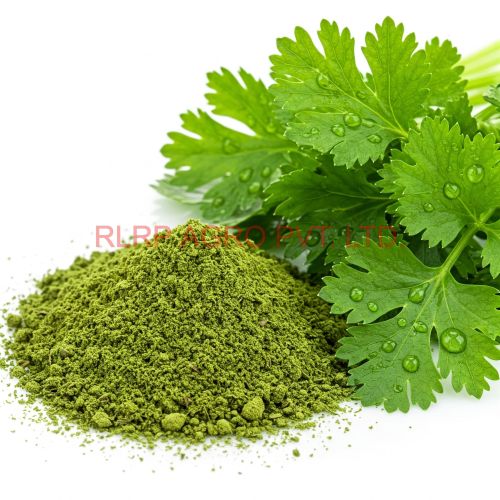 RLRP Green Coriander Powder 2%, Packaging Size : 500gm, 5Kg, 10Kg