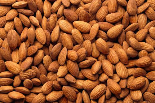 Hard Common Almond Nuts, Color : Light Brown for Human Consumption