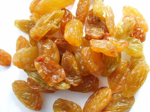 Organic Golden Raisins, Taste : Light Sweet for Human Consumption